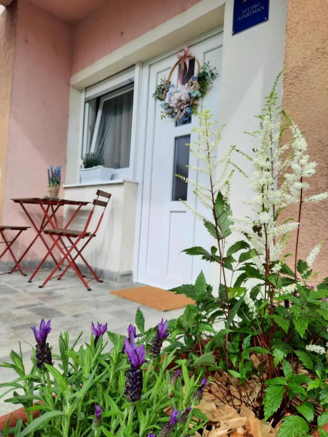 Apartmani Venium Križevci Esterno foto